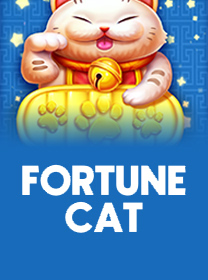 BRAWIN 🎯 Aposte em Apostas no Brasil e ganhe